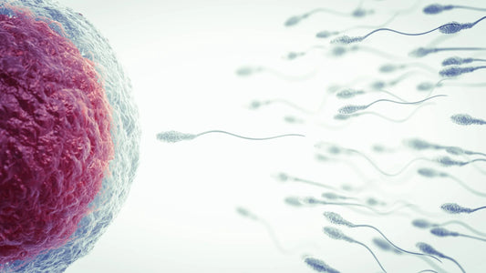 The 3 Most Studied Fertility Nutrients You Need to Know About