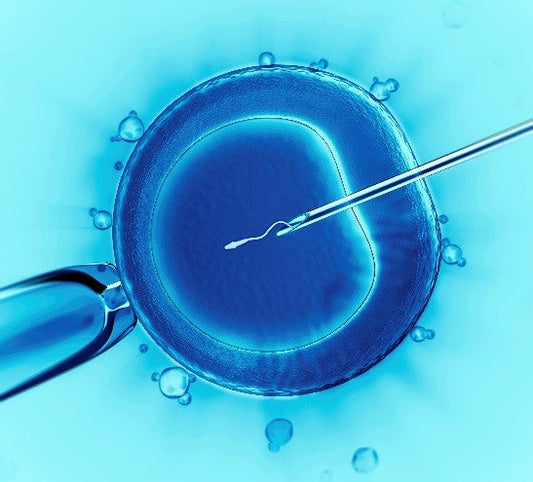 Best Supplements Before IVF: What Should You Take?