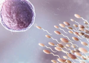 Best Supplements for IVF: Which Nutrients and Doses Have Actually Been Studied?
