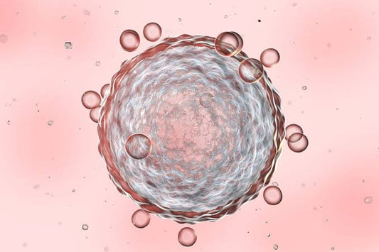 CoQ10 for Fertility: Why It Matters for Egg Quality