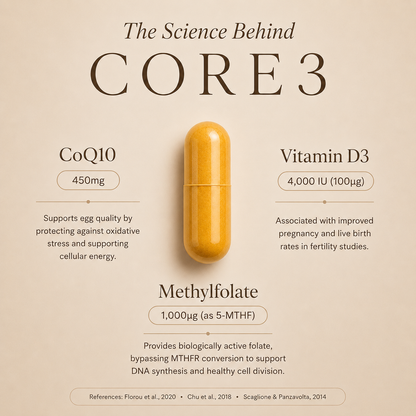 CORE3